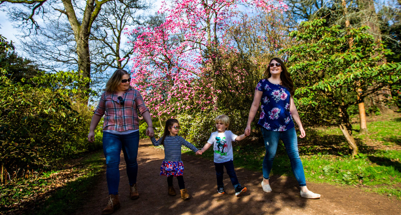 Westonbirt at Spring, Johnny Hathaway